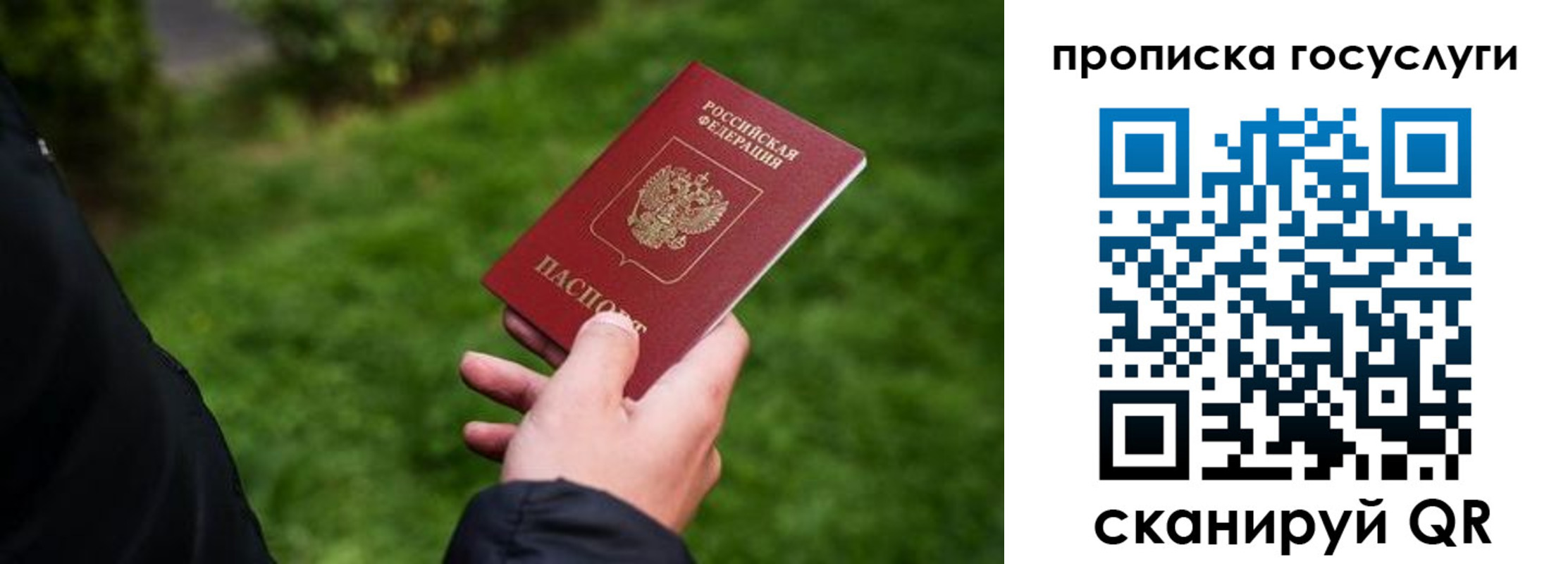 прописка для работы в Жуковке
